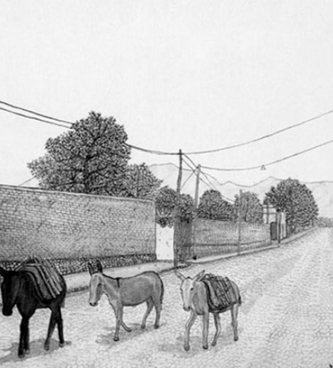 Calle de burros