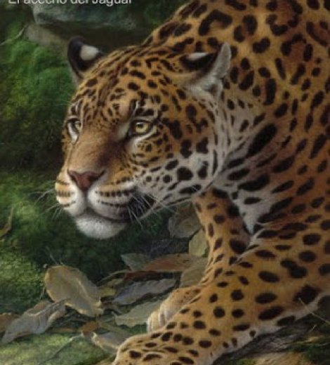 El acecho del jaguar
