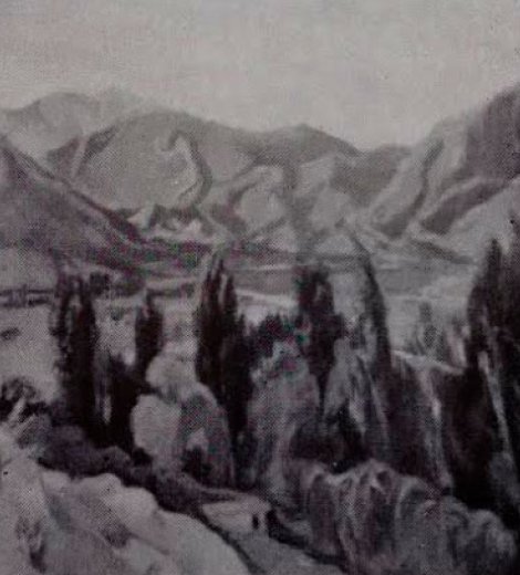 Valle de Potrerillos, Mendoza