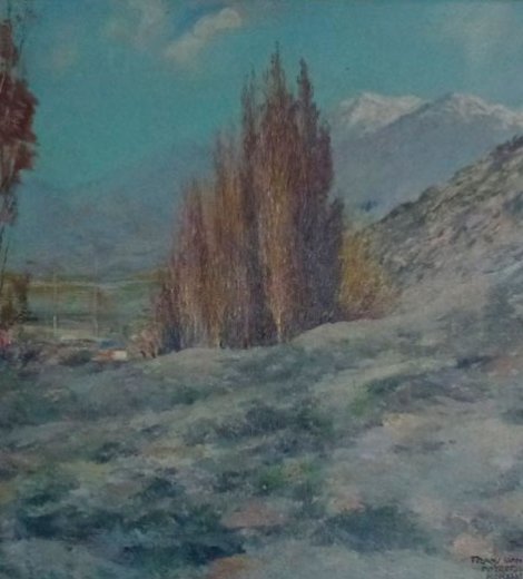 Potrerillos